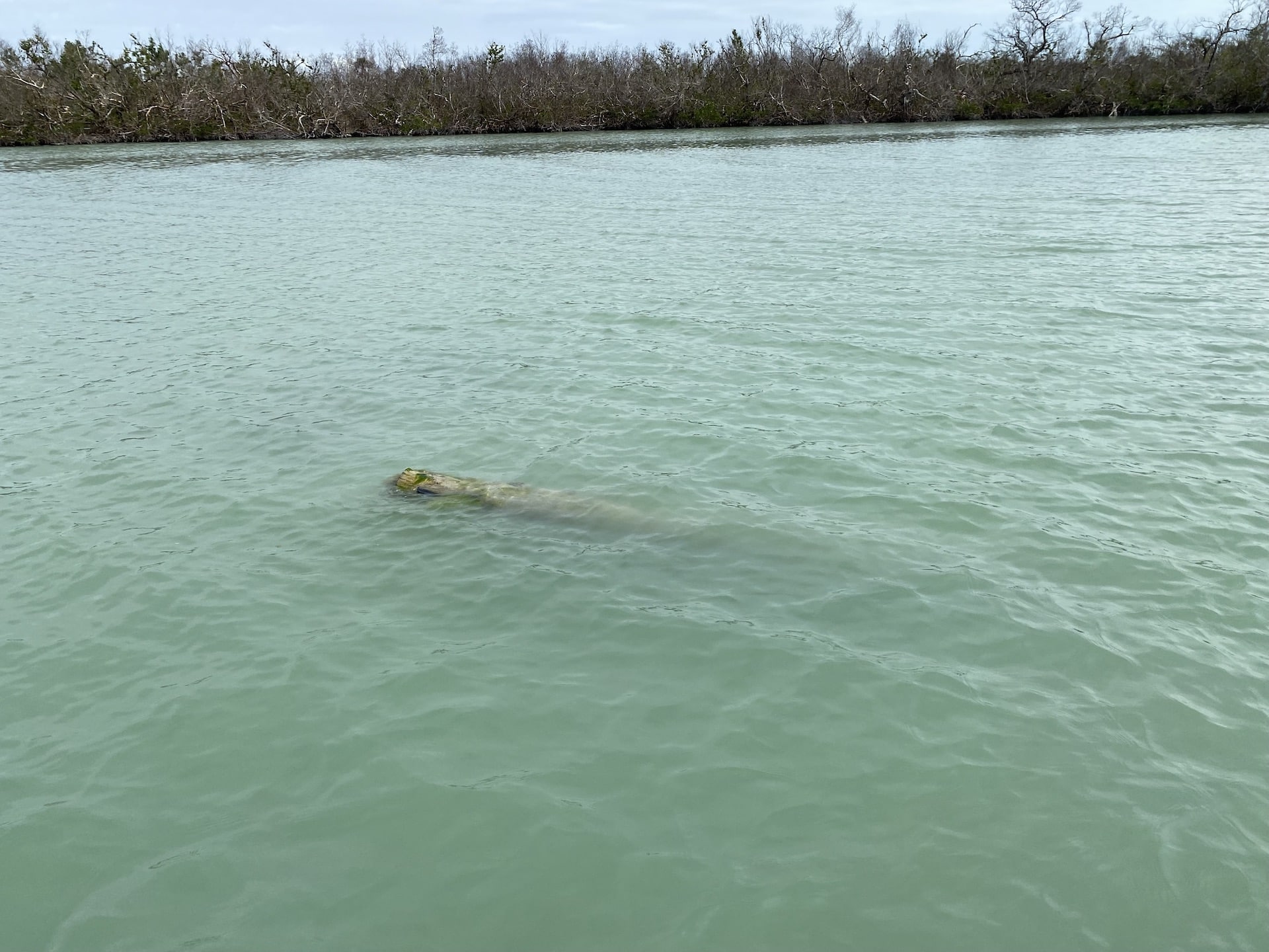 A large piece of debris just underneath the surface of the water near Ft. Myers after Hurricane Ian.