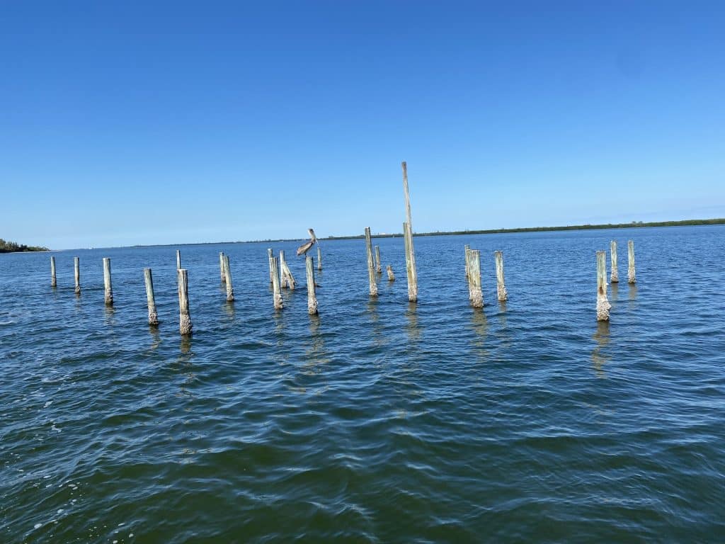 posts in the waters of the Sebastian Inlet